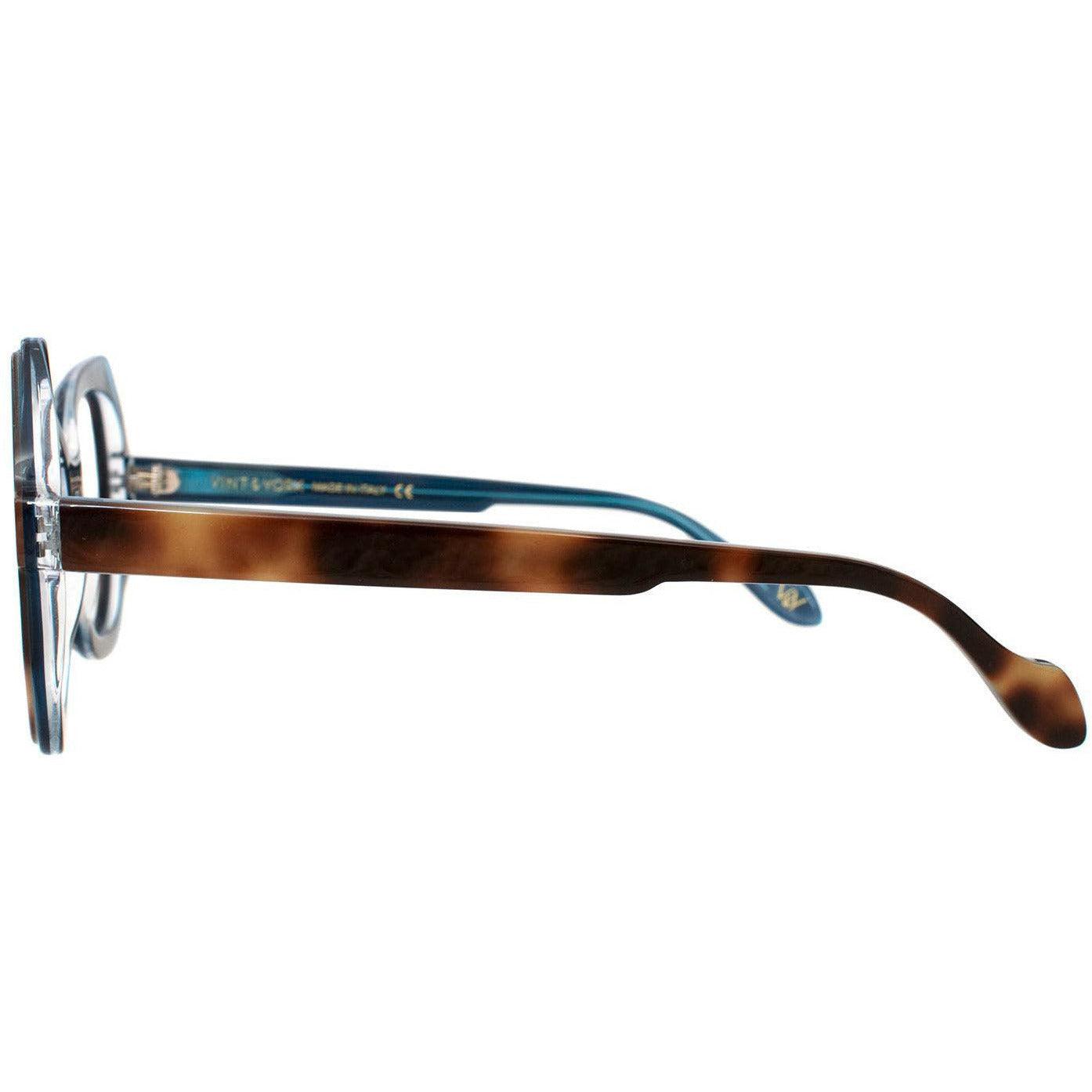 Tortoise with Light Blue